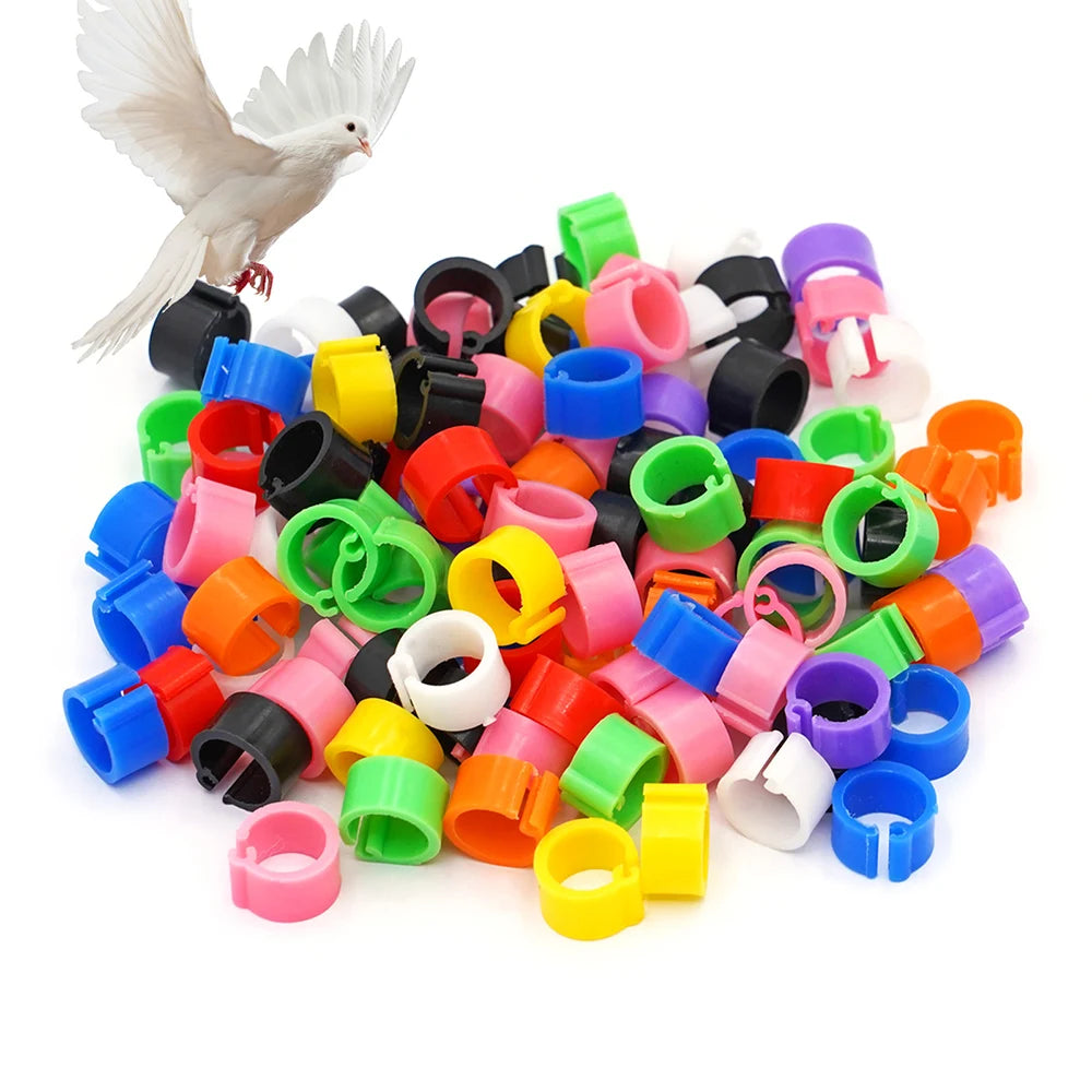 Pigeon ID Leg Bands - 8mm Removable Color Rings (100 Pack)